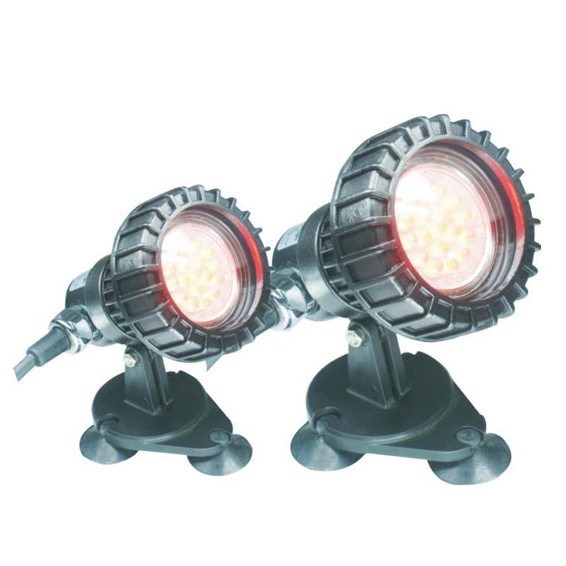 Éisc Os cionn Locháin Faoi Thalamh Solas Intumtha